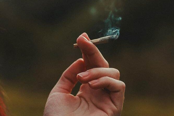 A hand holding a lit cannabis joint between fingers
