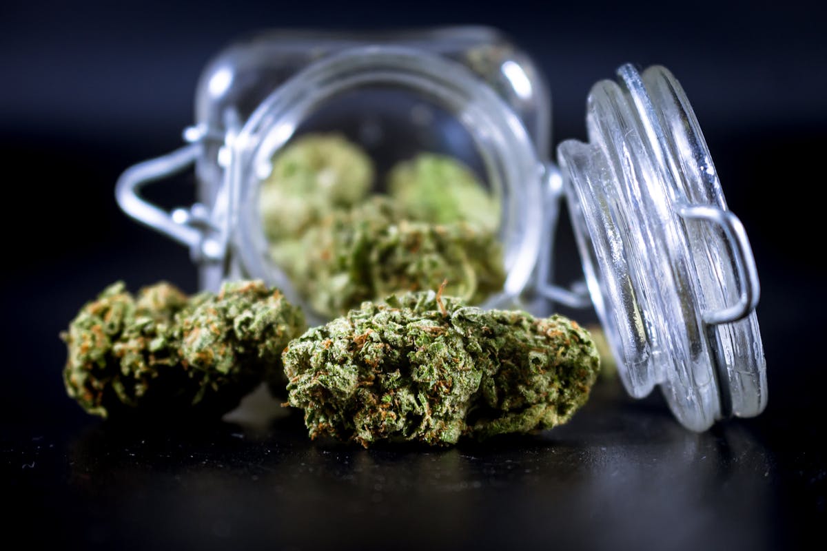 Cannabis flower in a labeled glass jar, typical of what you will see on a dispensary counter